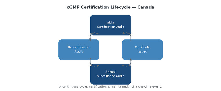 cGMP certification lifecycle diagram Canada - initial audit, certificate issued, annual surveillance, recertification