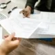 ISO 55000 certification