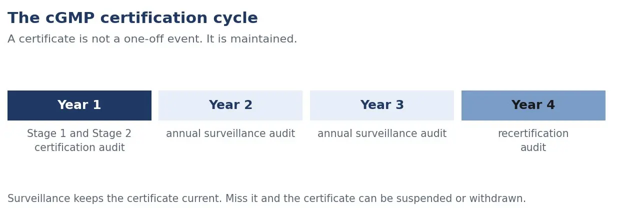 Diagram of the cGMP certification cycle: certification audit in year one, annual surveillance audits, recertification in year four
